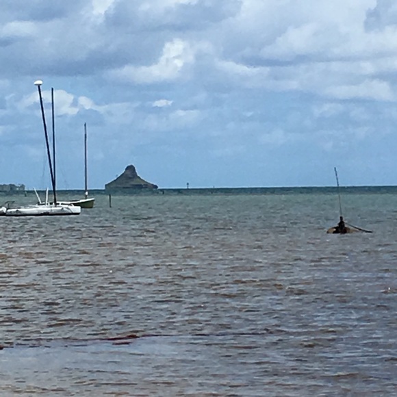 Meet your Posher, Carol - Picture 2 of 4